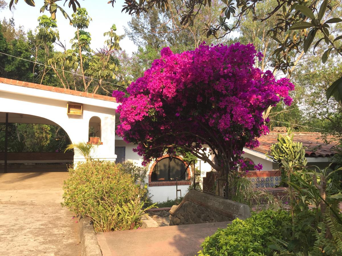 Villas Bellavista Cuernavaca Kültér fotó